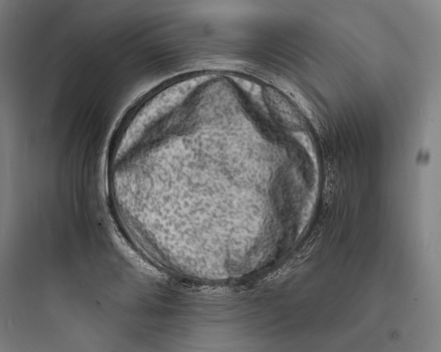 X0000093731080200711060955