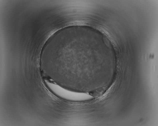 X0000093731081200711060955