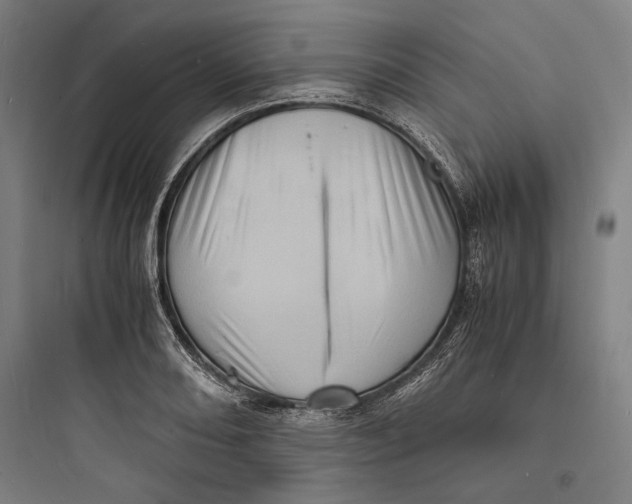 X0000093731082200711060955