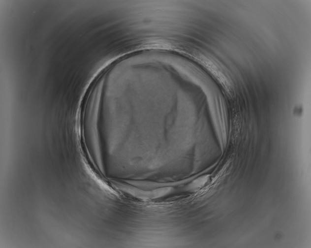 X0000093731084200711060955