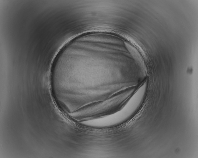 X0000093731085200711060955