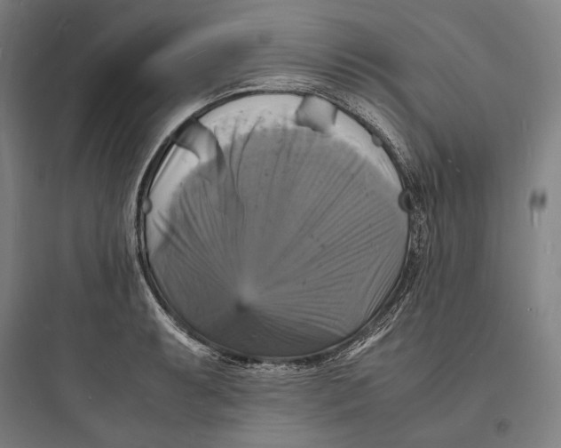 X0000093731087200711060955