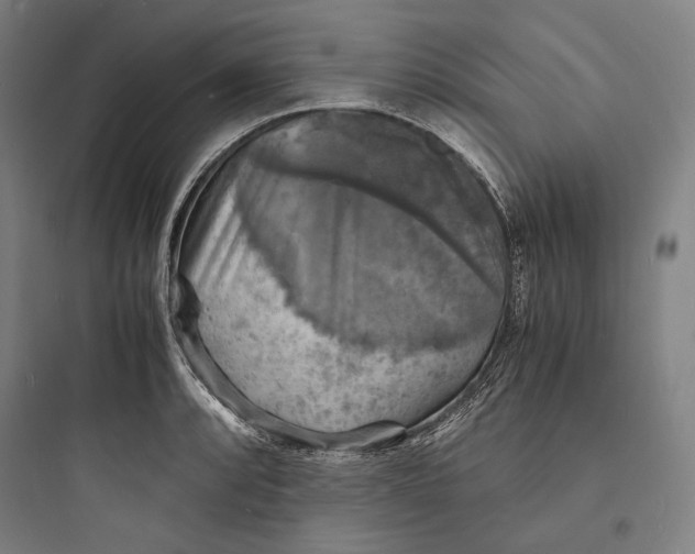 X0000093731088200711060955