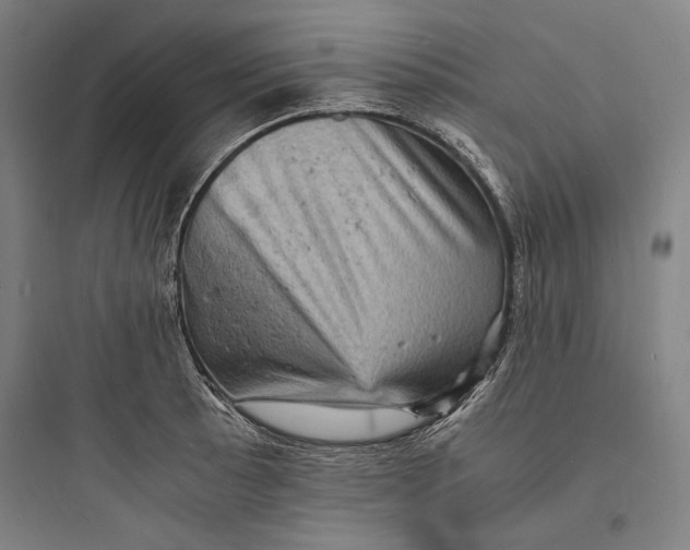 X0000093731089200711060955