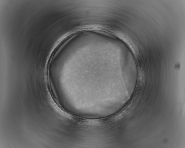 X0000093731090200711060955