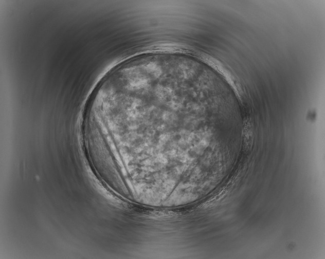 X0000093731091200711060955