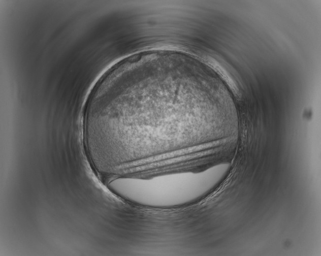 X0000093731092200711060955