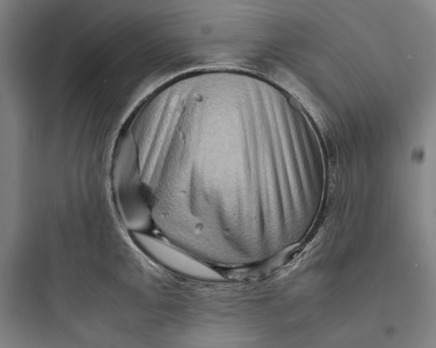 X0000093731093200711060955