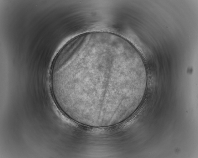 X0000093731094200711060955