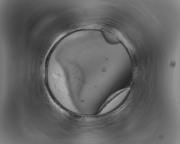 X0000093731095200711060955