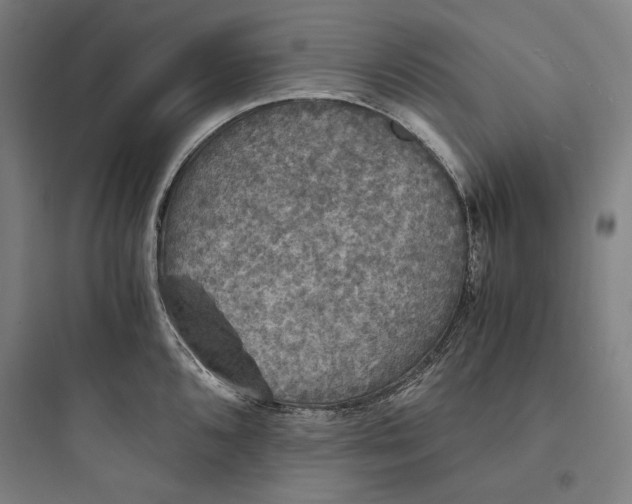 X0000093731096200711060955