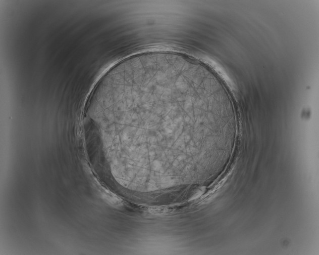 X0000093731097200711060955