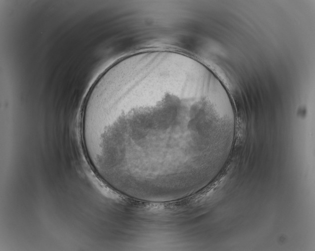 X0000093731098200711060955