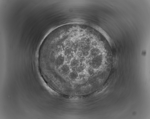 X0000093731099200711060955