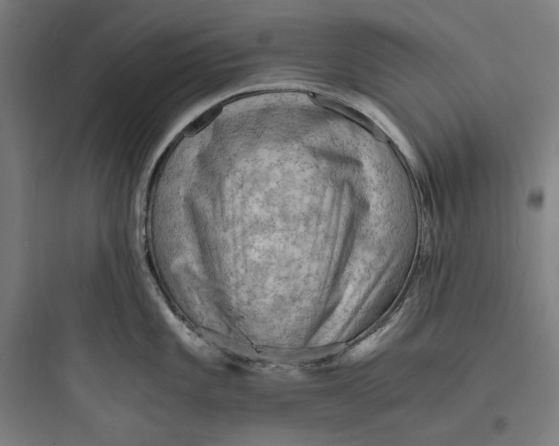 X0000093731101200711060955