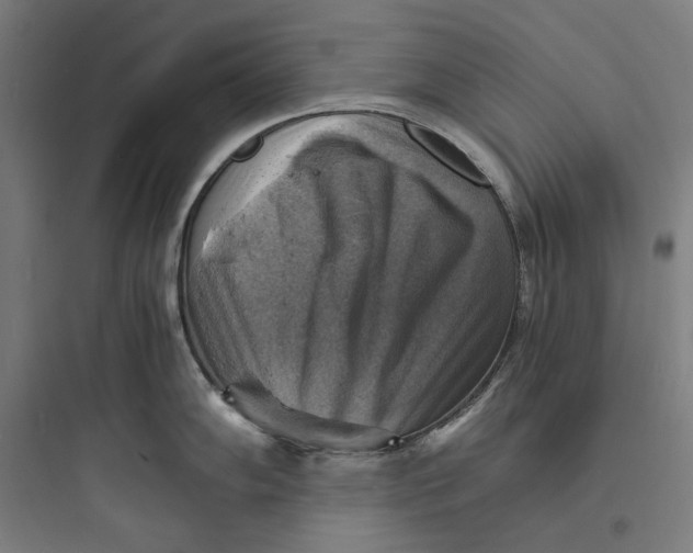 X0000093731102200711060955