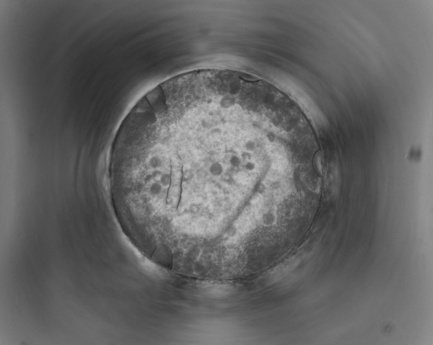 X0000093731103200711060955