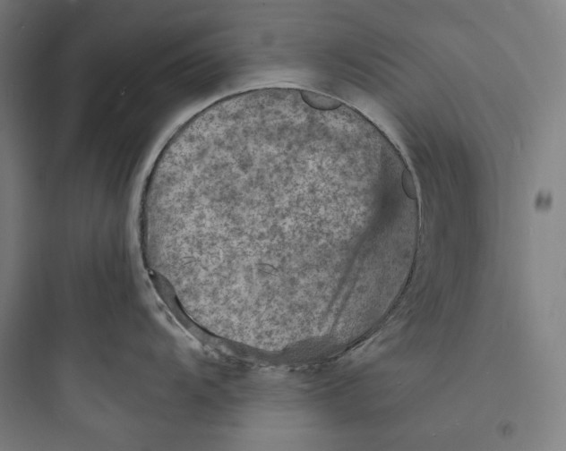 X0000093731104200711060955