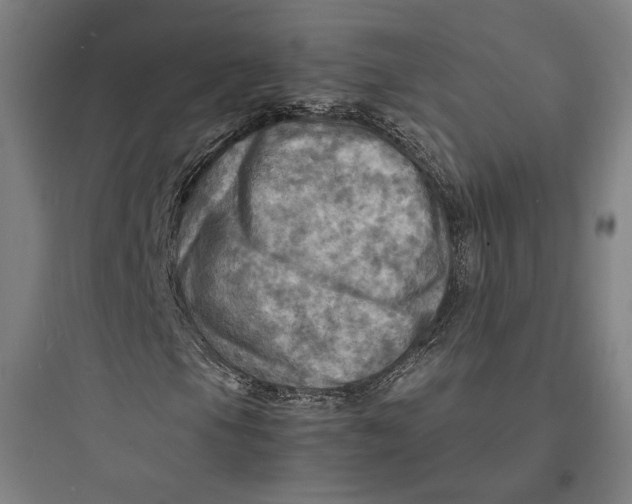 X0000093731105200711060954