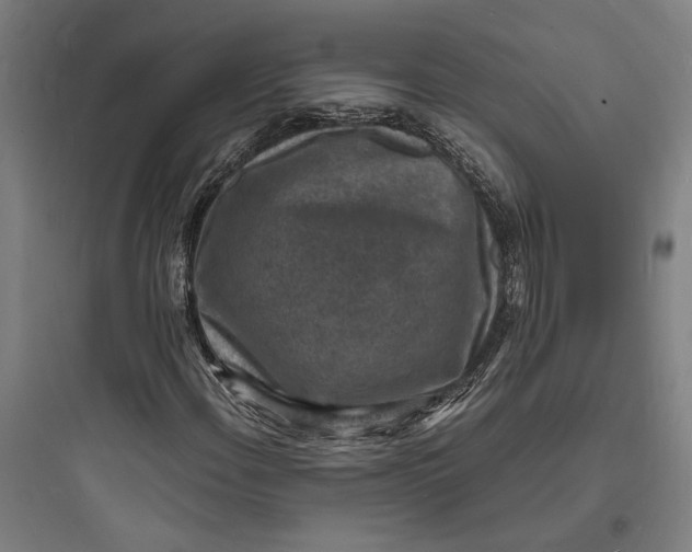 X0000093731108200711060954