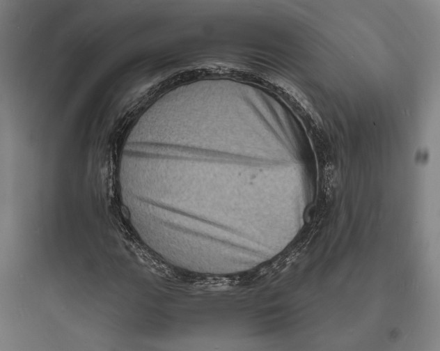 X0000093731111200711060954