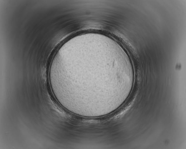 X0000093731113200711060954