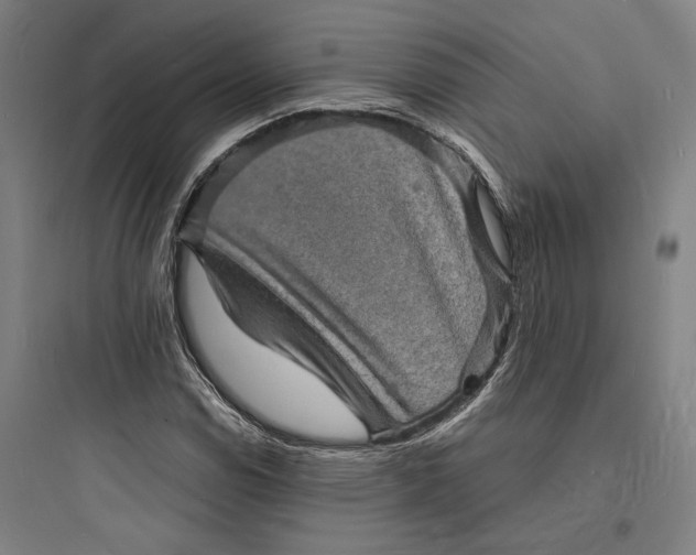 X0000093731114200711060954