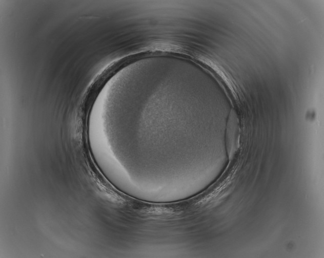 X0000093731115200711060954