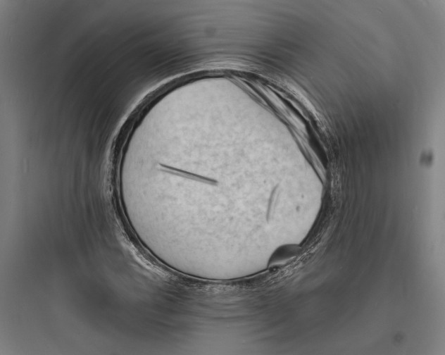 X0000093731116200711060954