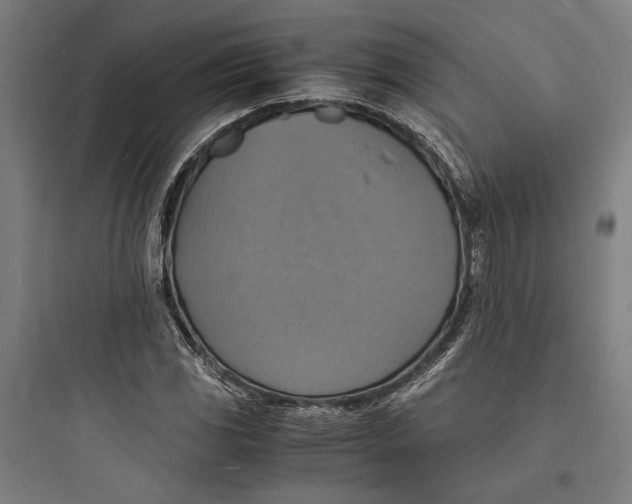 X0000093731117200711060954