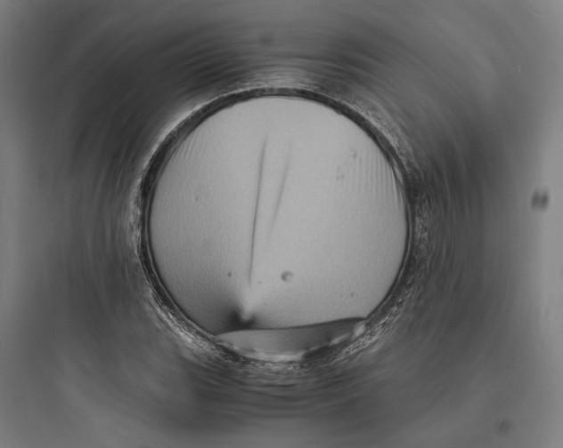 X0000093731119200711060954