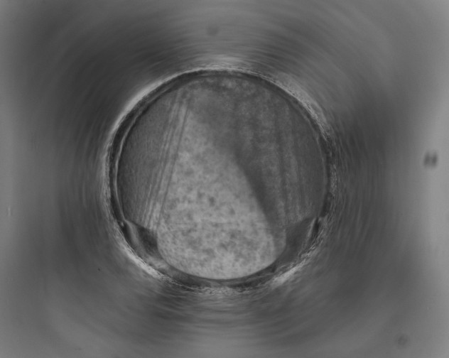 X0000093731120200711060955