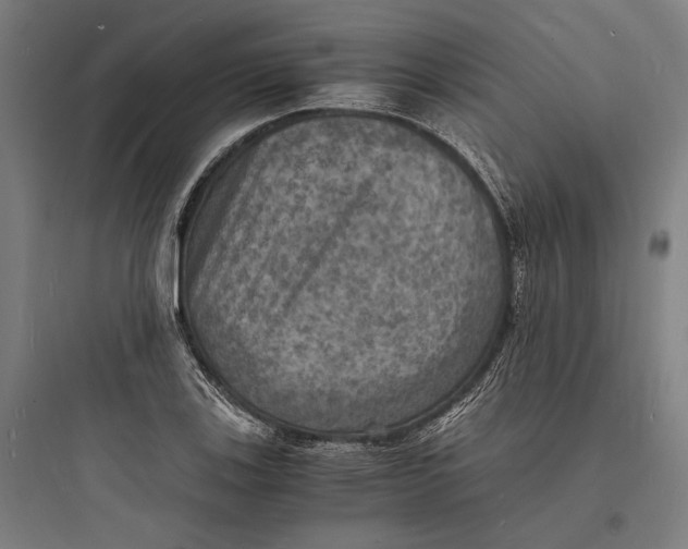 X0000093731123200711060955