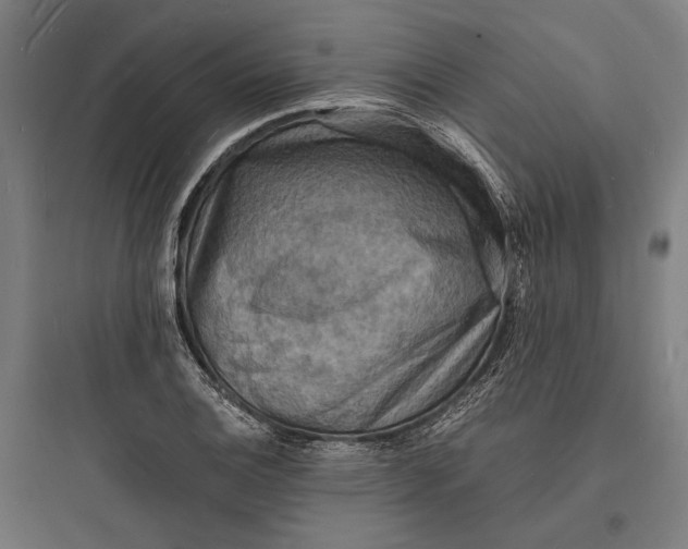 X0000093731124200711060955