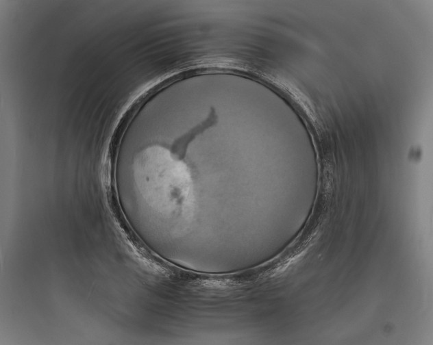 X0000093731125200711060955