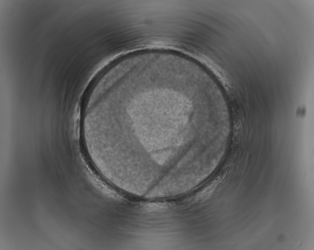 X0000093731126200711060955