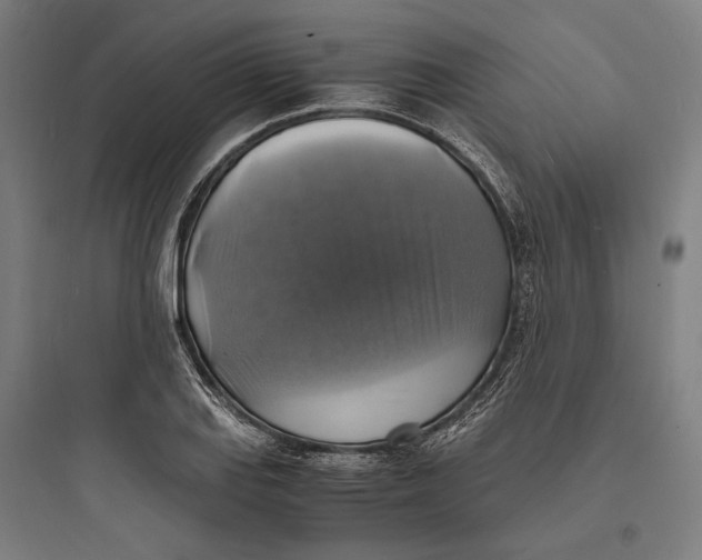 X0000093731127200711060955