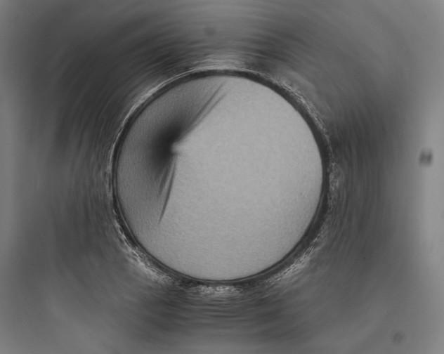 X0000093731129200711060955