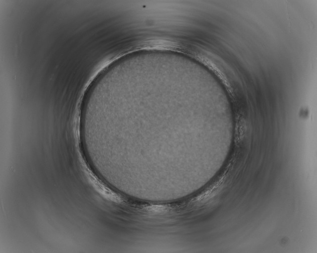 X0000093731130200711060955