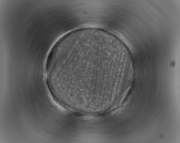 X0000093731132200711060955