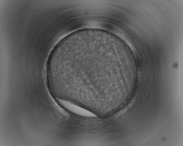 X0000093731133200711060955