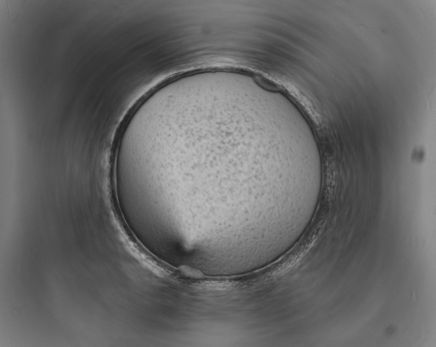 X0000093731134200711060955