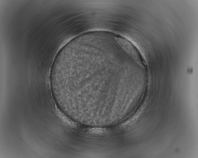 X0000093731137200711060955