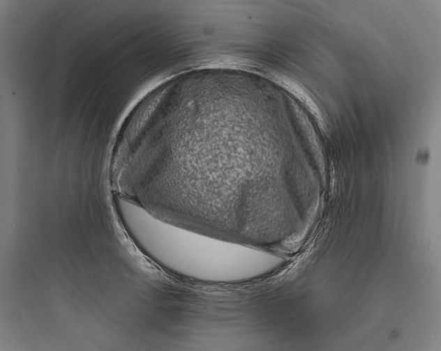 X0000093731138200711060955