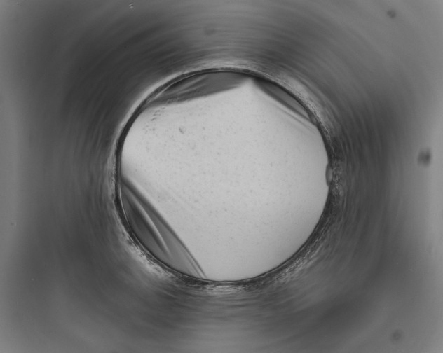 X0000093731140200711060955