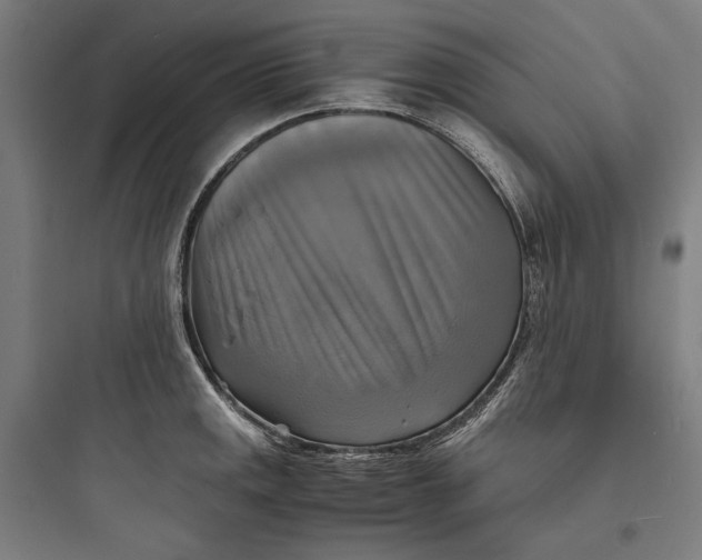 X0000093731141200711060955