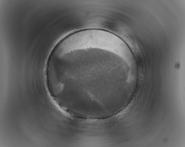 X0000093731142200711060955