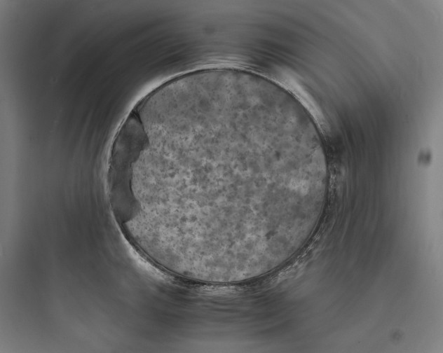 X0000093731143200711060955