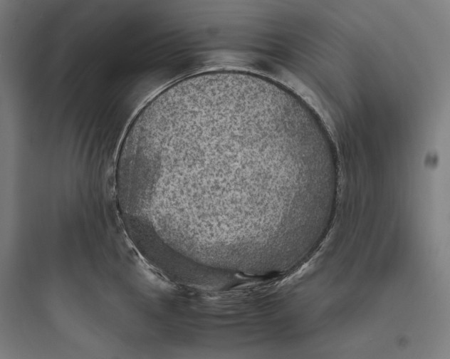 X0000093731145200711060955