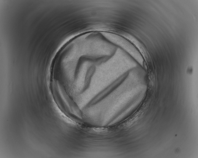 X0000093731147200711060955